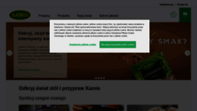 What Promocja.kamis.pl website looked like in 2021 (3 years ago)