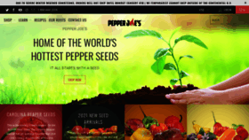 What Pepperjoe.com website looked like in 2021 (3 years ago)