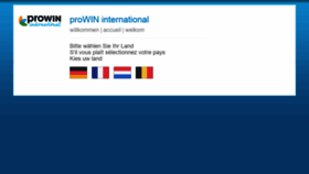 What Prowin.net website looked like in 2021 (3 years ago)