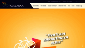 What Pedalanka.com website looked like in 2021 (3 years ago)