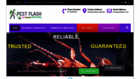 What Pestflash.com website looked like in 2021 (3 years ago)
