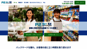 What P2netex.com website looked like in 2021 (3 years ago)