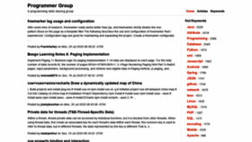 What Programmer.group website looked like in 2021 (3 years ago)