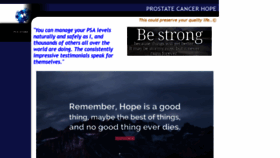 What Pcspes.net website looked like in 2021 (3 years ago)