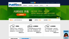 What Pubyun.com website looked like in 2021 (3 years ago)