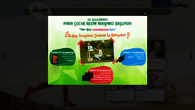 What Pinar.com.tr website looked like in 2021 (4 years ago)