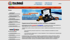What Pro-balanse.com website looked like in 2021 (3 years ago)