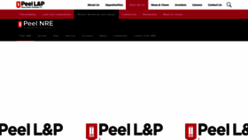 What Peelenvironmental.co.uk website looked like in 2021 (3 years ago)