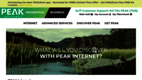 What Peak.org website looked like in 2021 (2 years ago)