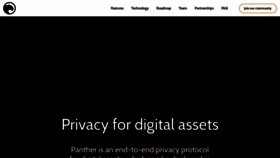 What Pantherprotocol.io website looked like in 2021 (2 years ago)