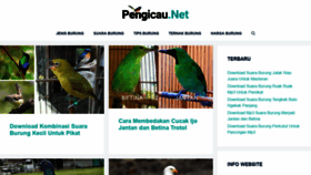What Pengicau.net website looked like in 2021 (2 years ago)