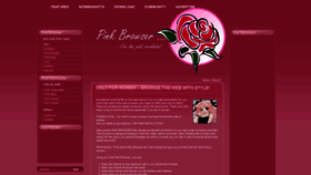What Pinkbrowser.com website looked like in 2021 (2 years ago)