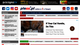 What Pless.pl website looked like in 2021 (4 years ago)