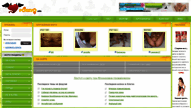 What Porevo.site website looked like in 2021 (2 years ago)