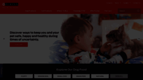 What Purina.com website looked like in 2021 (2 years ago)