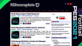 What Pesnewupdate.com website looked like in 2021 (2 years ago)