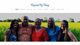 What Puppiesbypenny.com website looked like in 2021 (2 years ago)