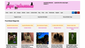 What Pups4sale.com.au website looked like in 2021 (2 years ago)