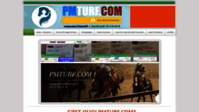 What Pmturf.com website looked like in 2021 (2 years ago)