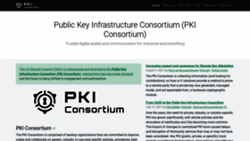 What Pkic.org website looked like in 2021 (2 years ago)