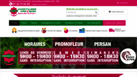 What Promofleur.fr website looked like in 2021 (2 years ago)