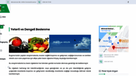 What Pinarucanargun.com website looked like in 2021 (2 years ago)