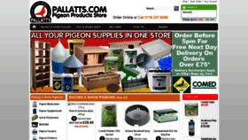 What Pallatts.com website looked like in 2021 (2 years ago)