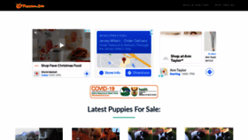 What Puppiesforsale.co.za website looked like in 2021 (2 years ago)