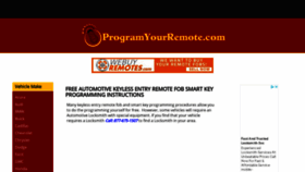 What Programyourremote.com website looked like in 2021 (2 years ago)