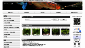 What Pororoca-ashigara.com website looked like in 2021 (2 years ago)