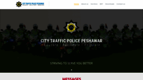 What Ptpkp.gov.pk website looked like in 2021 (2 years ago)