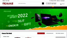 What Pemmz.com website looked like in 2022 (2 years ago)