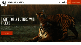 What Panda.org website looked like in 2022 (3 years ago)