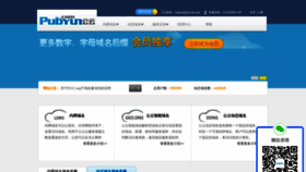 What Pubyun.com website looked like in 2022 (2 years ago)