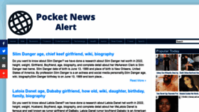 What Pocketnewsalert.com website looked like in 2022 (2 years ago)
