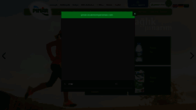What Pinar.com.tr website looked like in 2022 (3 years ago)