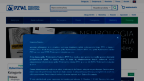 What Pzwl.pl website looked like in 2022 (2 years ago)