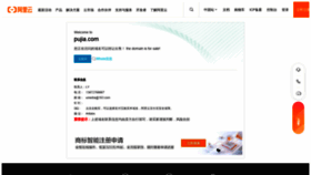 What Pujia.com website looked like in 2022 (2 years ago)