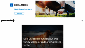 What Pawtracks.com website looked like in 2022 (1 year ago)