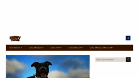 What Puppytoob.com website looked like in 2022 (1 year ago)