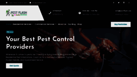 What Pestflash.com website looked like in 2022 (1 year ago)