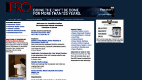 What Paintpro.net website looked like in 2022 (1 year ago)