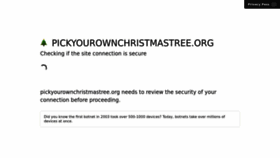 What Pickyourownchristmastree.org website looked like in 2022 (1 year ago)