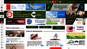 What Piginfo.ru website looked like in 2022 (1 year ago)