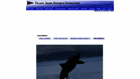 What Pelagic.org website looked like in 2022 (1 year ago)