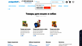 What Petochan.ru website looked like in 2022 (1 year ago)