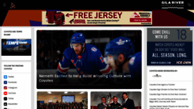 What Phoenixcoyotes.com website looked like in 2022 (1 year ago)