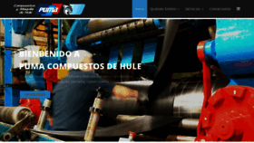 What Pumacompuestosdehule.com website looked like in 2022 (1 year ago)