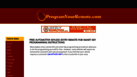 What Programyourremote.com website looked like in 2022 (1 year ago)