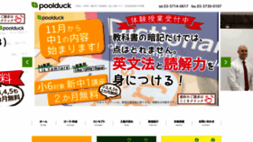 What Poolduck.net website looked like in 2022 (1 year ago)